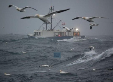 commercial fishing image